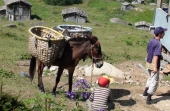 Für Familien: Natur & Fun